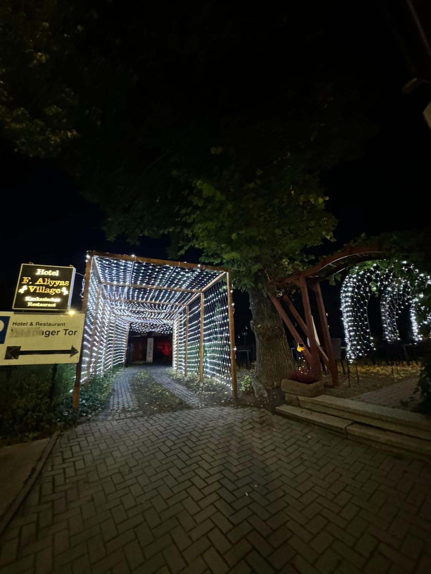 Faliyyas Village 迈宁根 外观 照片